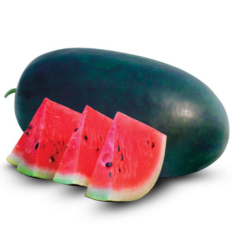 zo-th-1